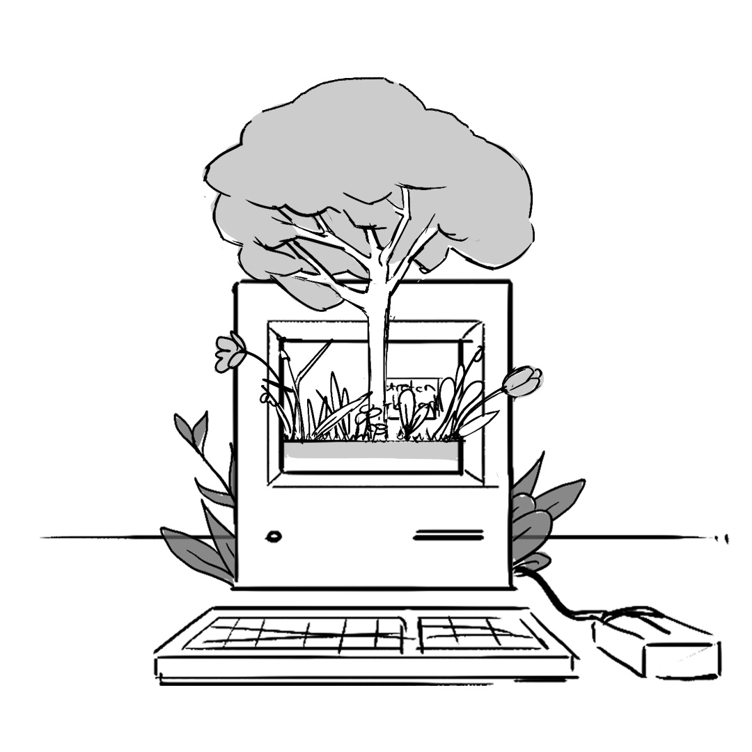 Innocent - Wiesenwildnis