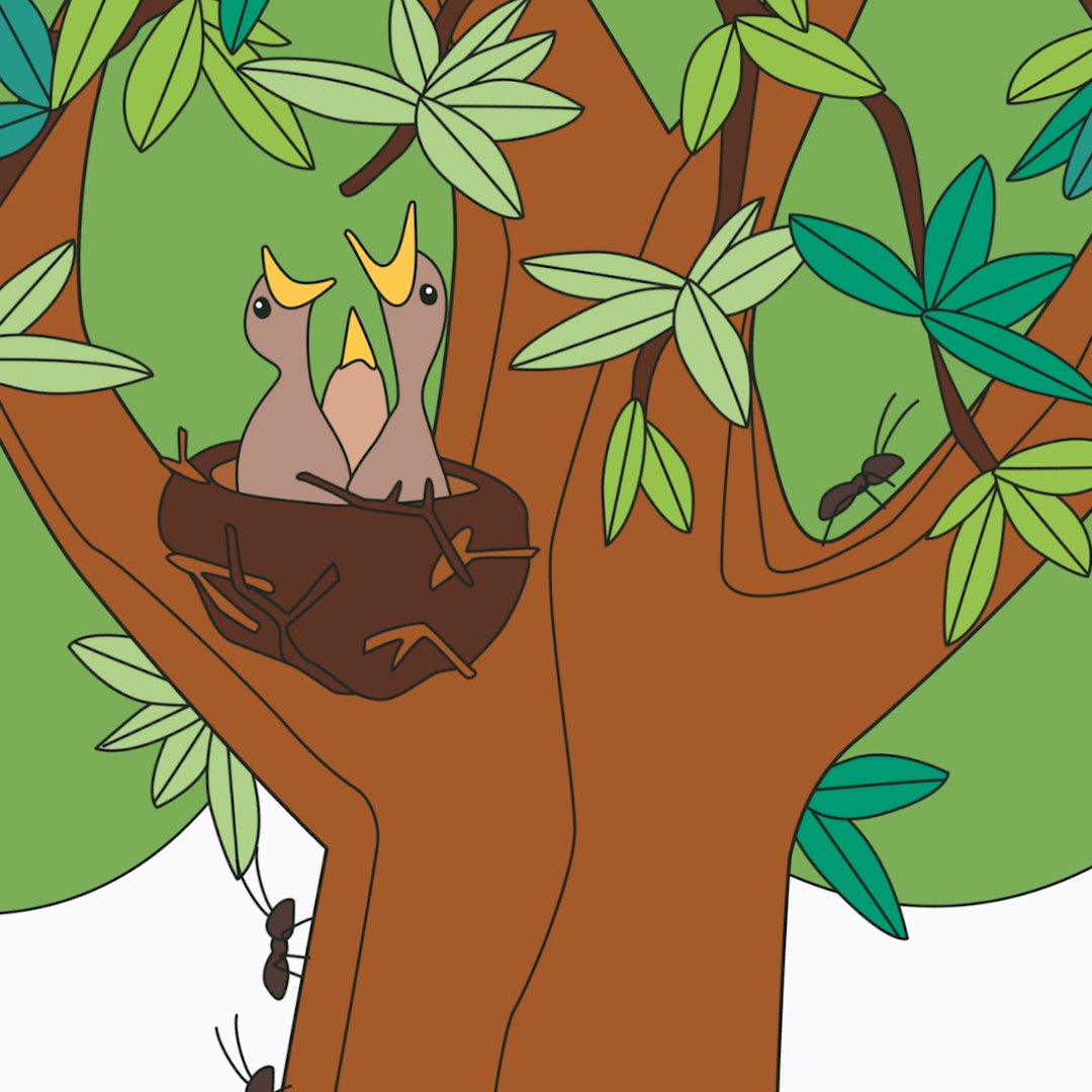 Innocent - Wiesenwildnis