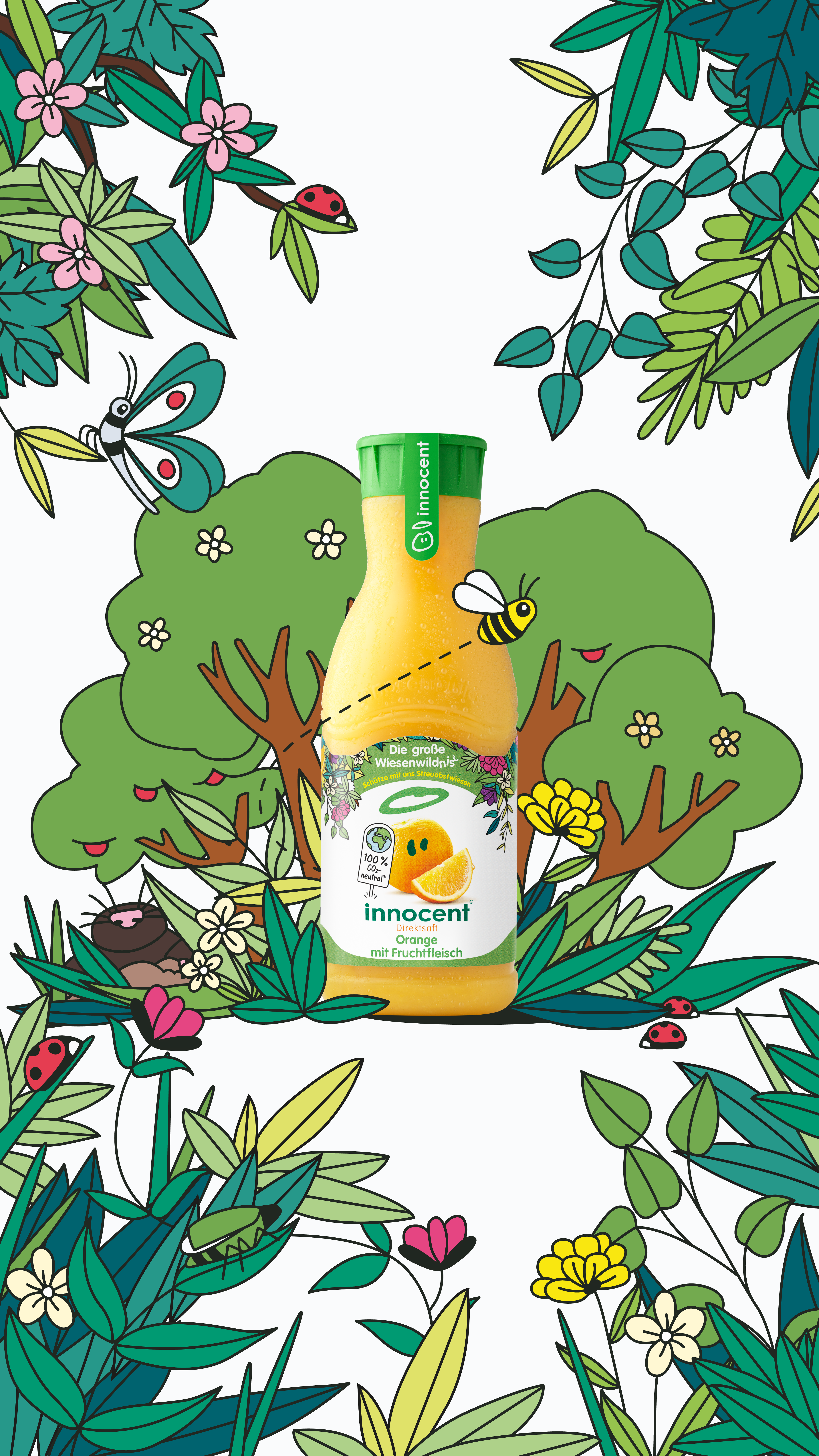 Innocent - Wiesenwildnis