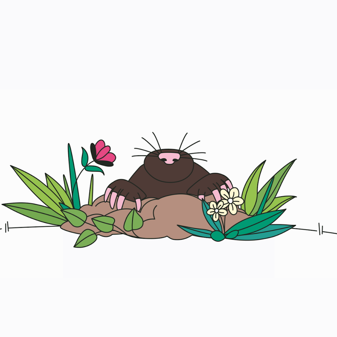 Innocent - Wiesenwildnis